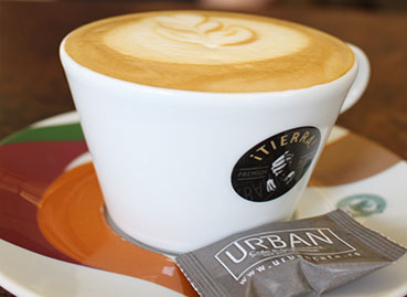 Lavazza Tierra